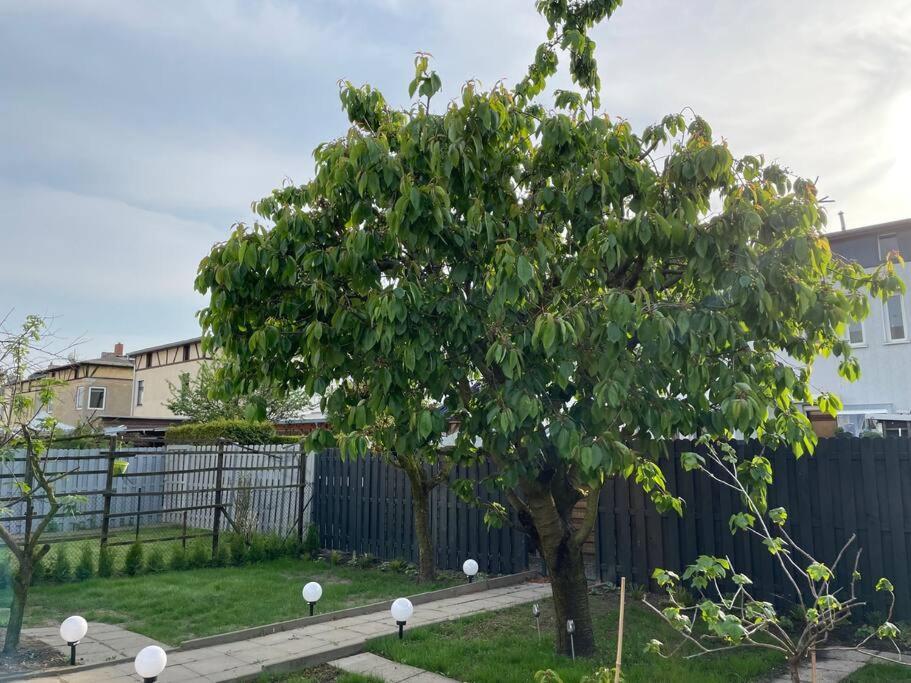 Schoenes Reihenhaus Mit Garten 马格德堡 外观 照片